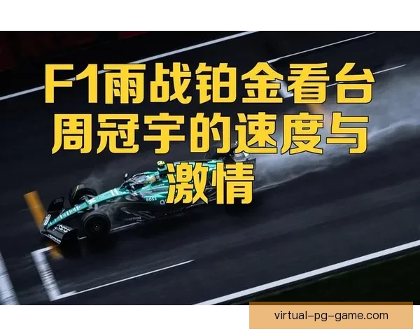 F1速度与激情：揭秘高速赛道背后隐藏的驾驶技巧