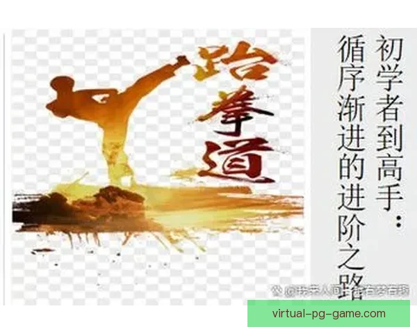 全面学习跆拳道：实用技巧与技术指导