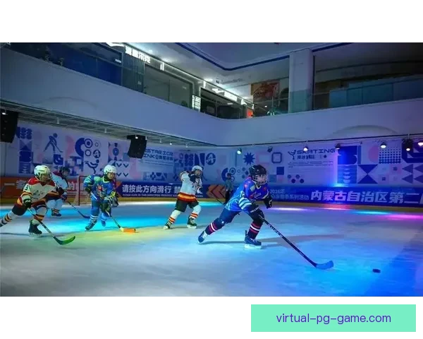 冰球杯赛:热血激战,狂飙冰场! 冰球杯赛:热血激战,狂飙冰场!