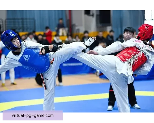 探索跆拳道直播新风向，精彩纷呈的探秘之旅