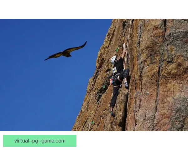 极限挑战:攀岩巅峰争霸赛 极限挑战:攀岩巅峰争霸赛