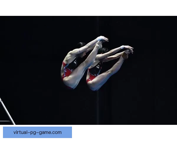 跳水比赛规则与技巧解析